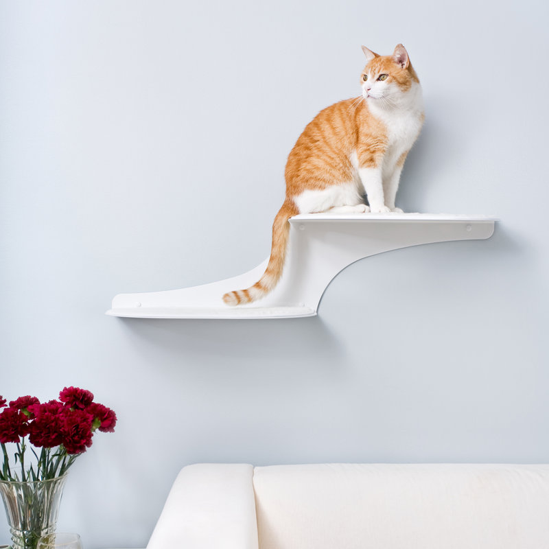 The Refined Feline 10" Clouds Wall Mounted Cat Perch & Reviews Wayfair